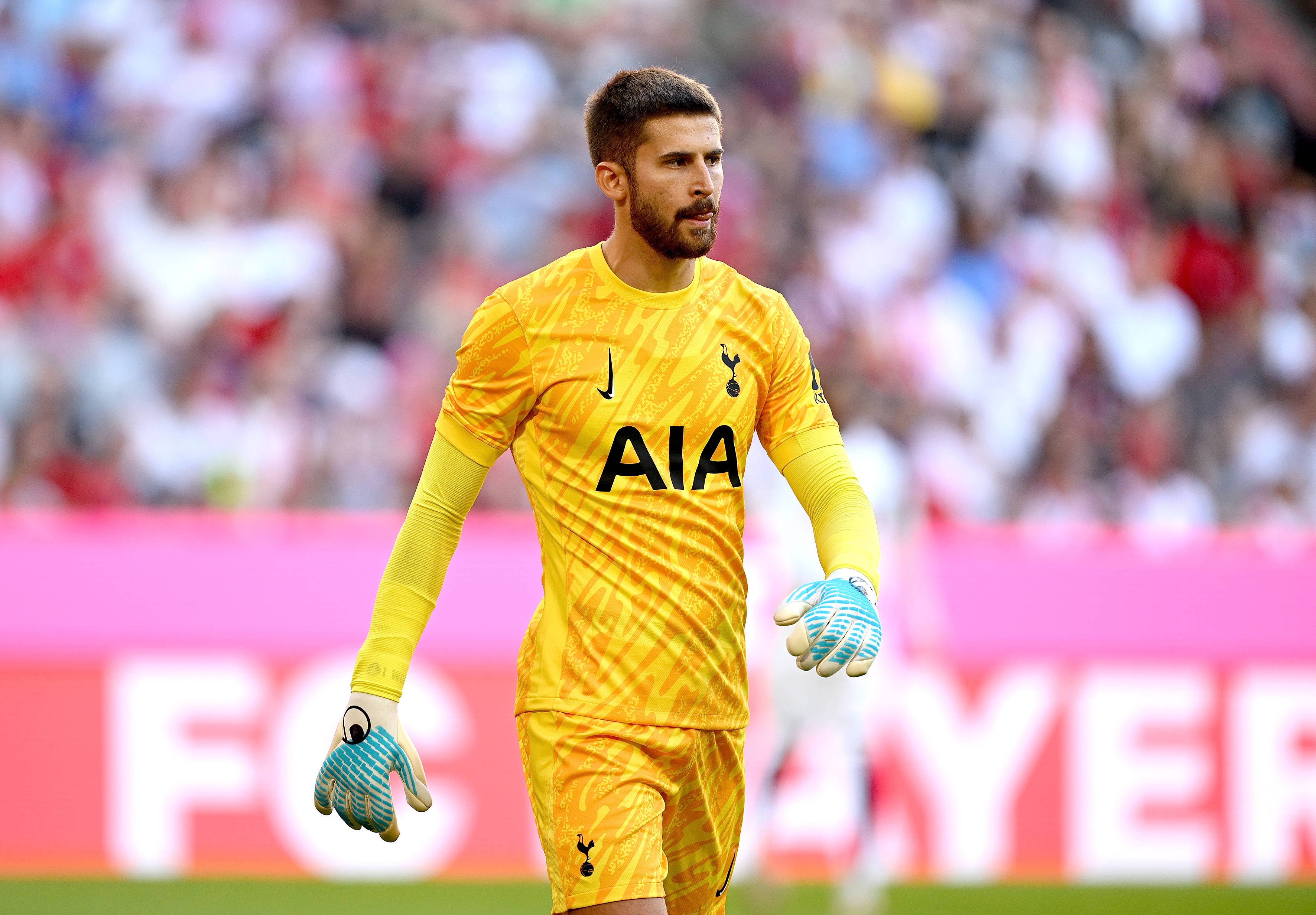 八支队伍占, 我们的水平, 所以这是一