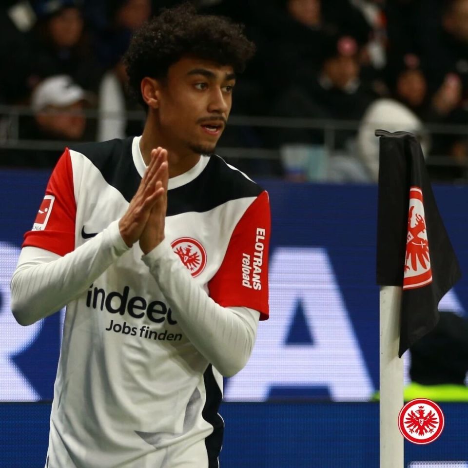 法兰克福只 法兰克福只